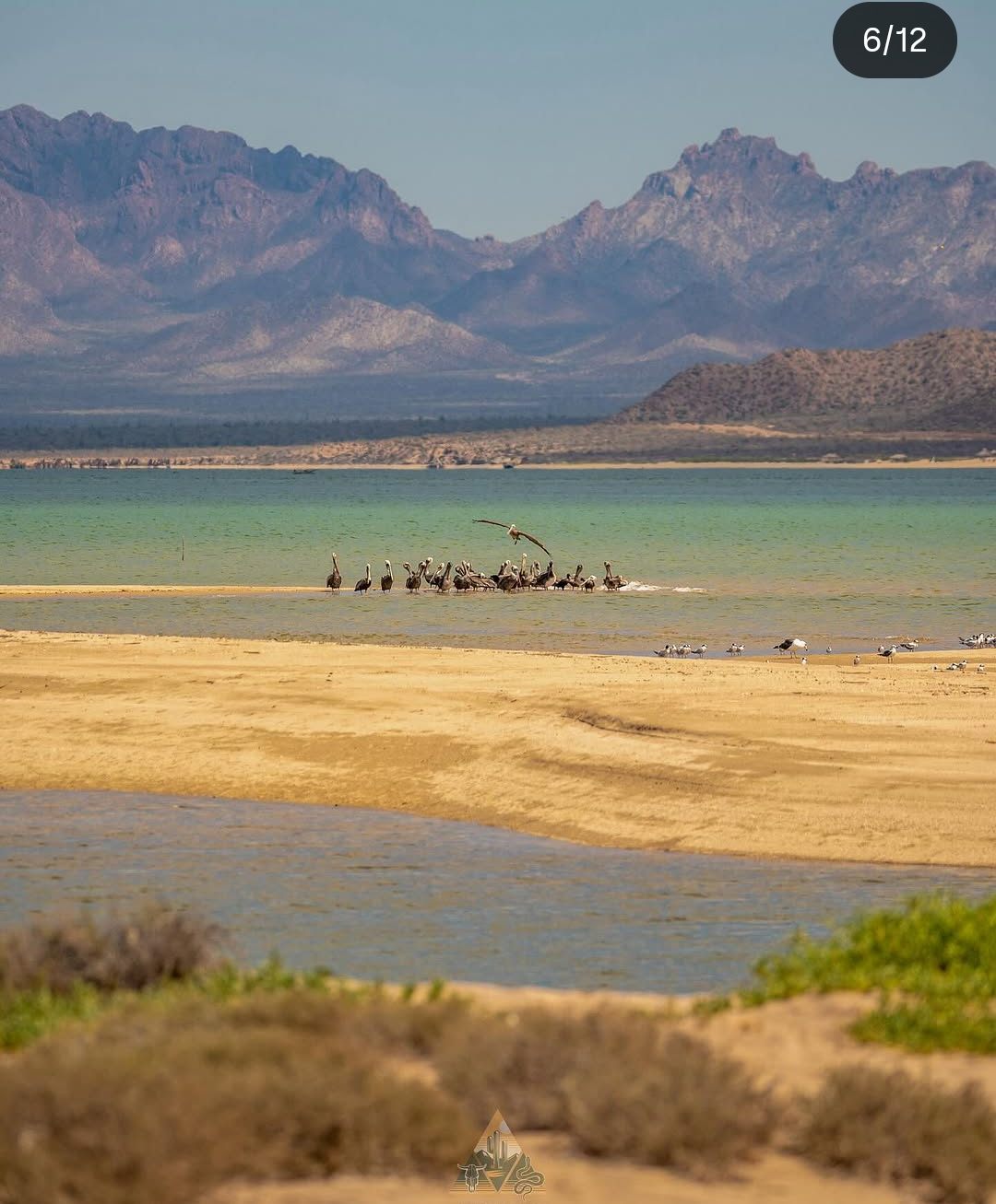 Isla del Tiburón desde la costa de Bahía de Kino