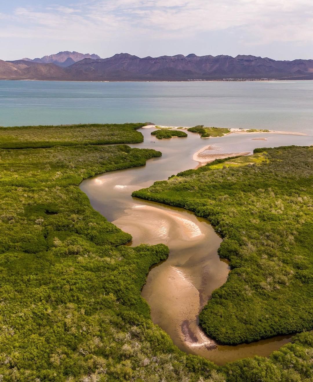 Manglares del Canal del Infiernillo desde el aire