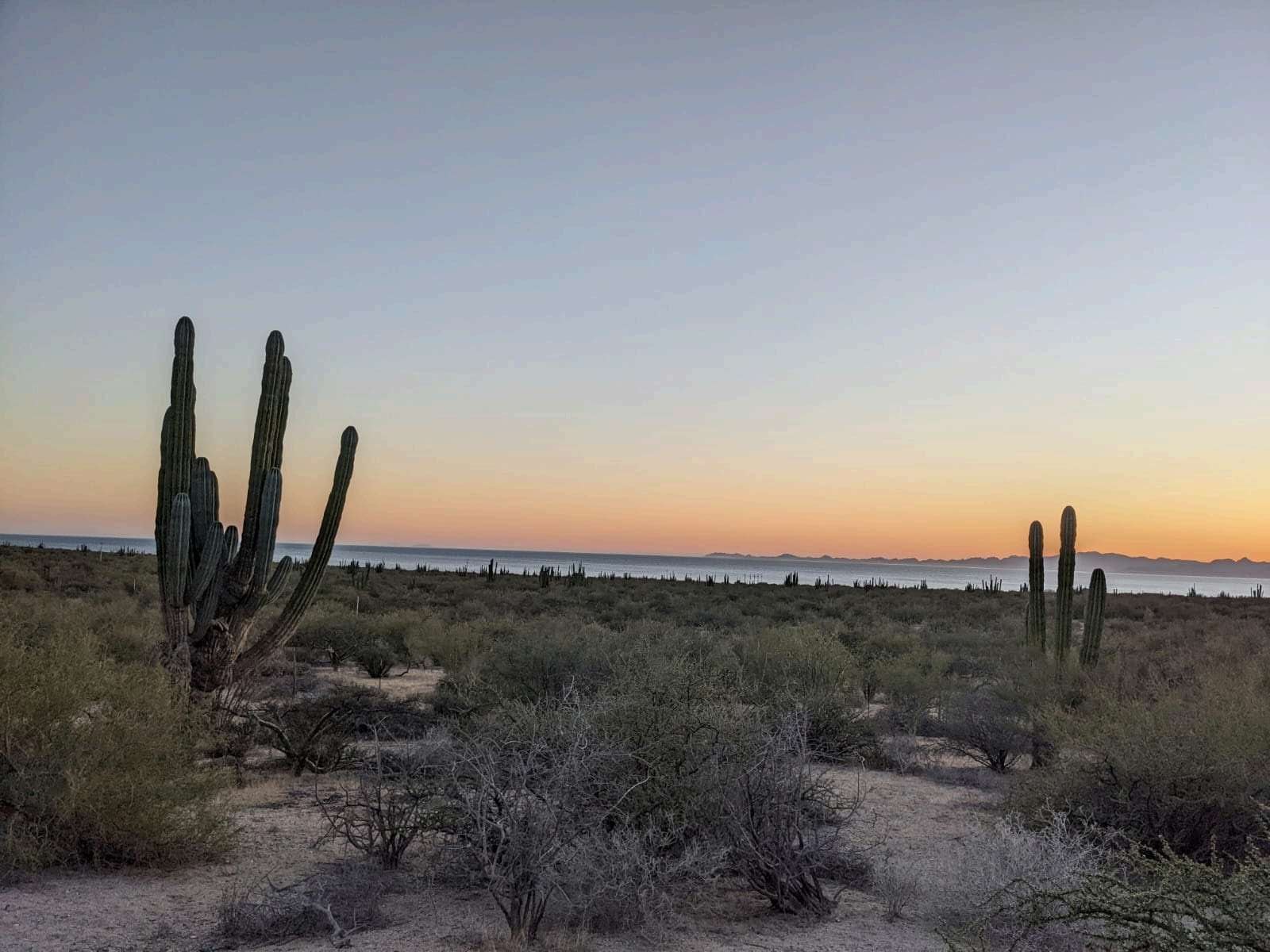 Vista del lote 4A hacia el mar y la Isla del Tiburón